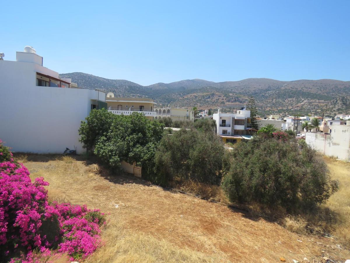 Divine Malia Suites & Apartments Εξωτερικό φωτογραφία